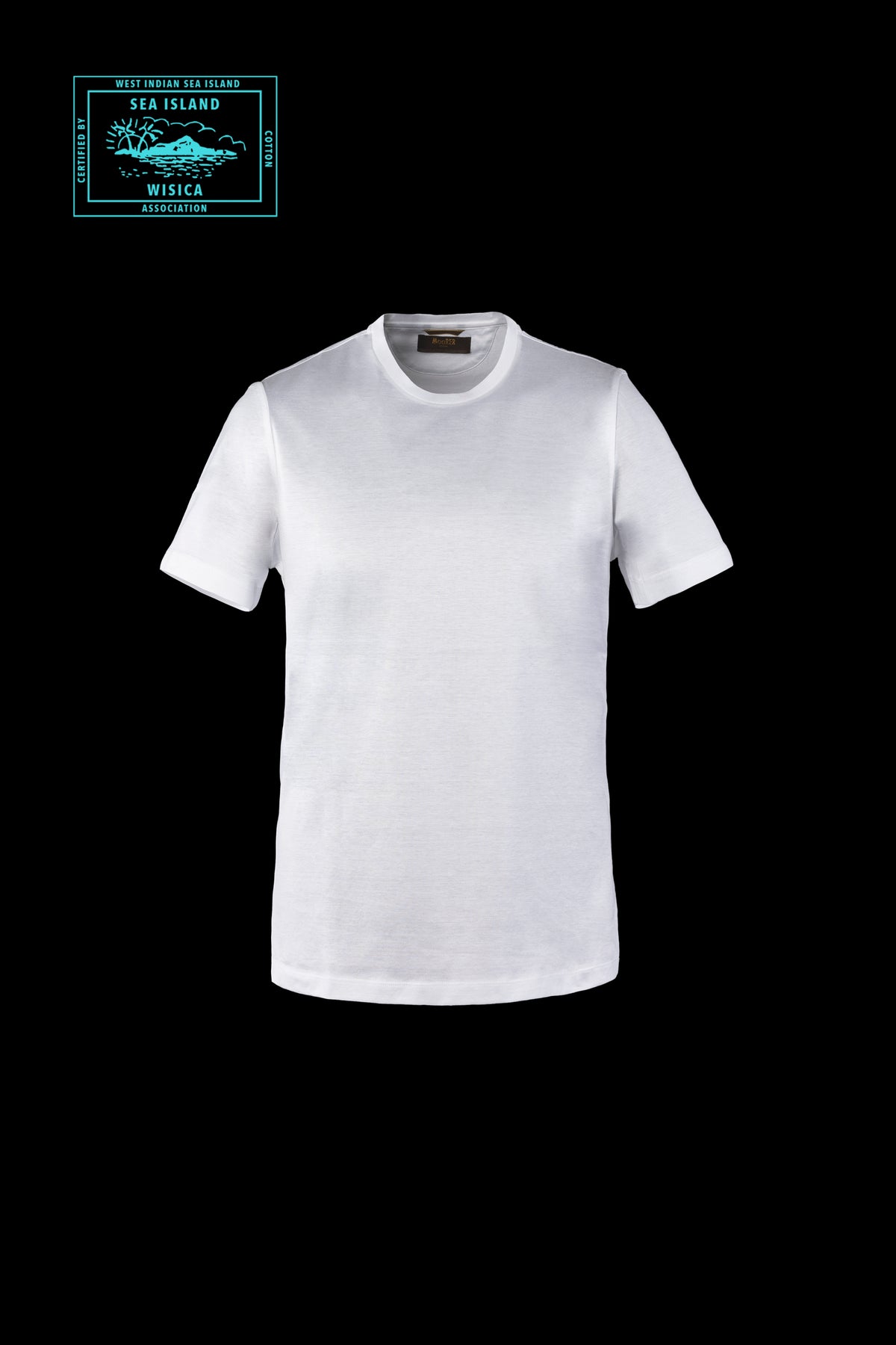 MIKE-SI0 - KINGSTONE WHITE - 1