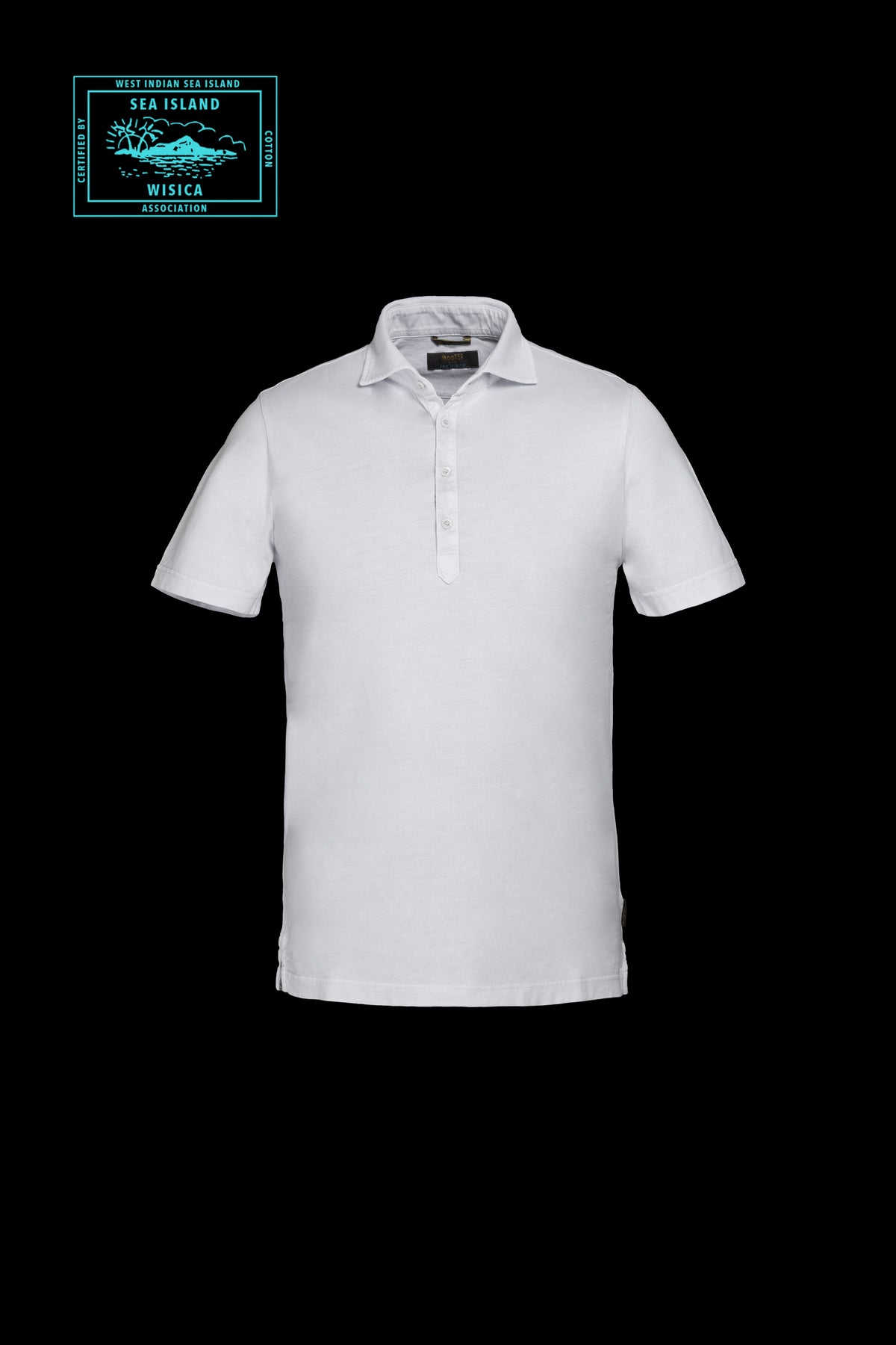 TARNO-SI0 - KINGSTONE WHITE - 2